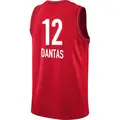 Men's Damiris Dantas ＃12 Rebel Edition Victory Red Indiana Fever 2023 Jersey