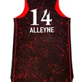 Men's Jillian Alleyne ＃14 Rebel Edition Victory Black Indiana Fever 2021 Jersey
