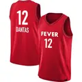 Youth Damiris Dantas ＃12 Rebel Edition Victory Red Indiana Fever 2023 Jersey